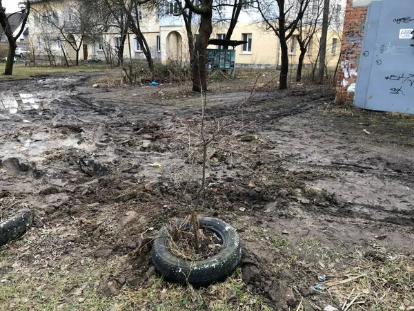 Двори у центральній частині Луцька потопають у багнюці (фото)