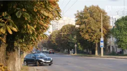 Квіти, песики, каштани: Дубнівська у Луцьку восени (фото)