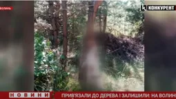 Прив'язали до дерева: на Волині знайшли закатованого до смерті собаку (відео)