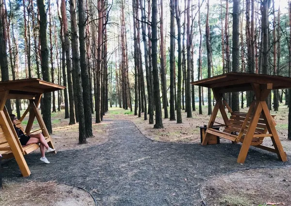 Поблизу озера Велике Згоранське облаштували нову екологічну стежку (фото)
