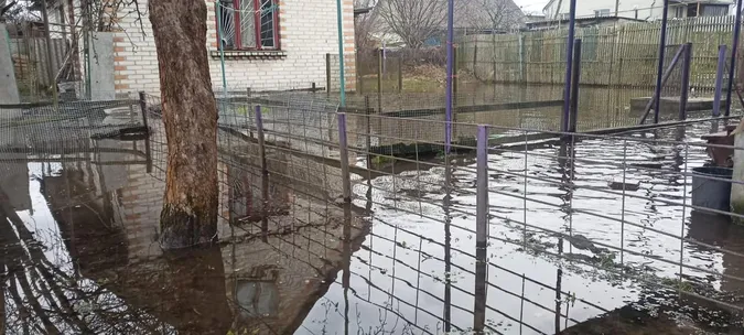 Відкачали понад 1000 тонн: вода позаливала городи волинян (фото)