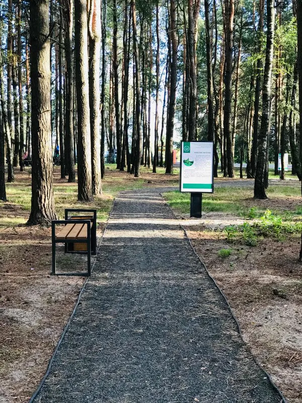 Поблизу озера Велике Згоранське облаштували нову екологічну стежку (фото)