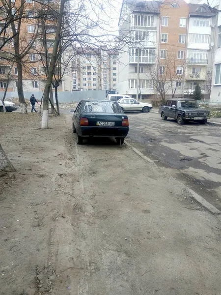 Бордюри ніби медом помазані: муніципали показали автохамів (фото)