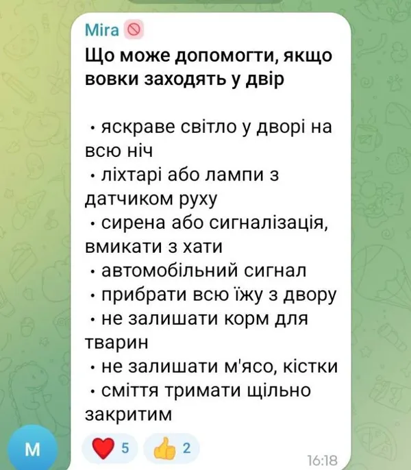 Вовки чи шакали: мешканці села на Волині живуть у страху через нічні напади хижаків