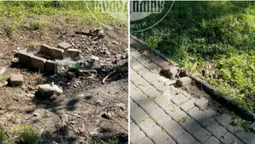 У Володимирі в парку розібрали бруківку, щоб зробити мангал (фото)