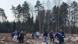 У Ковельській громаді висадили майже 2 гектари лісу (фото)