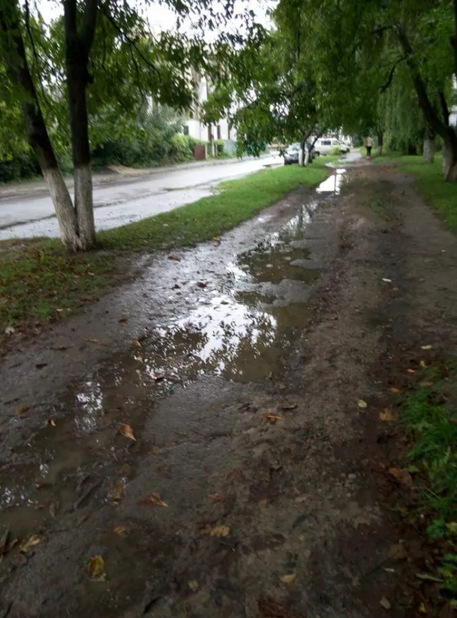 У Луцьку просять облаштувати тротуар на вулиці Гулака-Артемовського