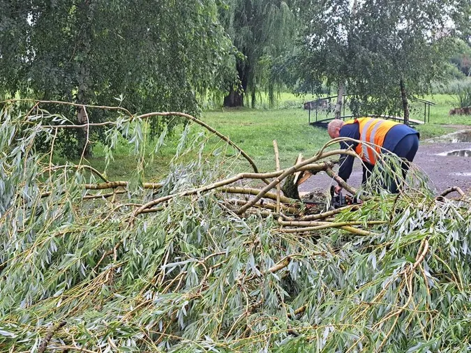 Повалені дерева та лінії електропередач: у Володимира негода наробила шкоди (фото)