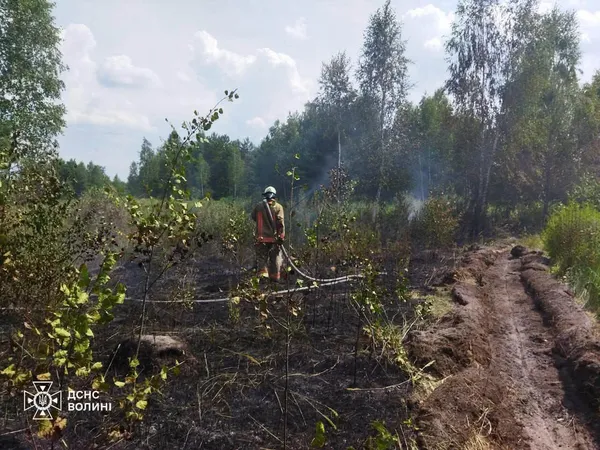 На Волині ліквідували займання у лісовому масиві (фото)