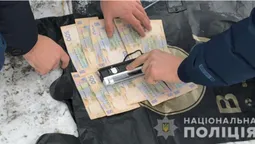 На Волині сільський голова взяв хабар за ялинки (фото)