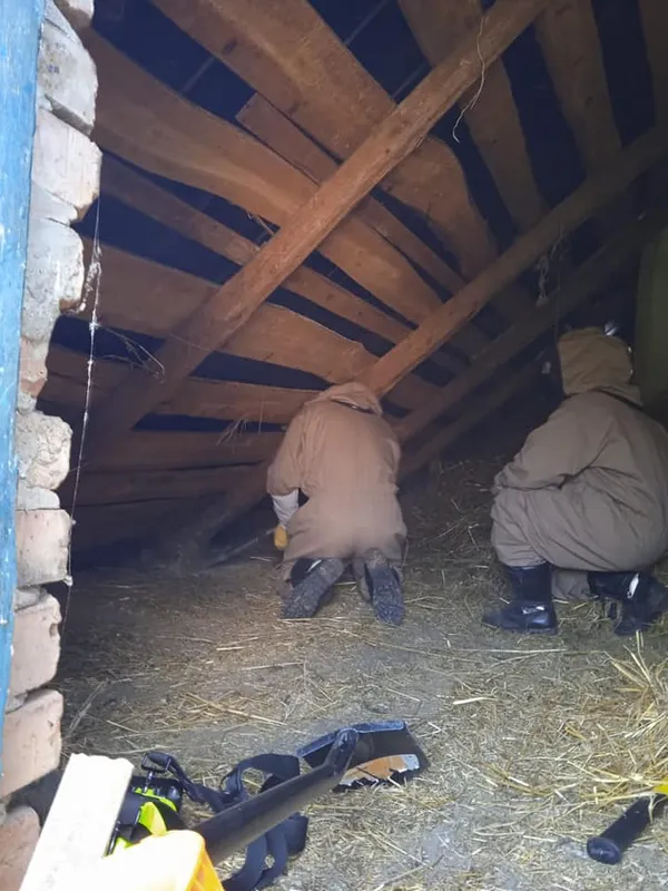 Бомби, шершні та пожежі: звіт волинських рятувальників за добу (фото)