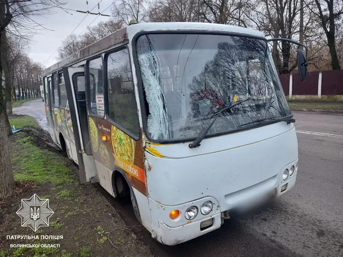 У Луцьку маршрутка врізалась у дерево і збила дорожній знак (фото)