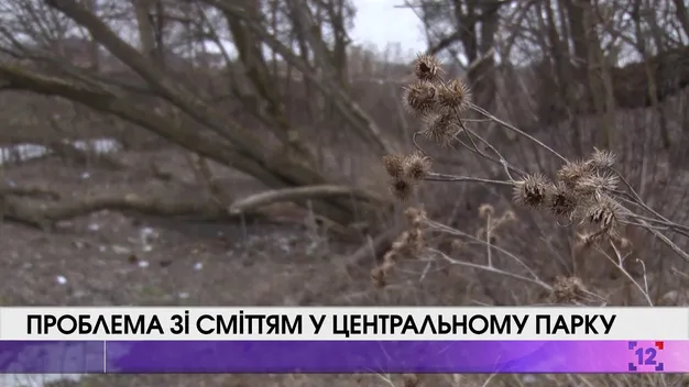 Частина центрального парку потопає у смітті (відео)