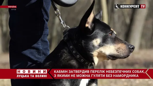 В Україні затвердили перелік небезпечних порід собак (відео)