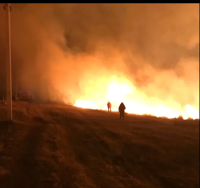 Палало кладовище: на Волині вирують жахливі пожежі (фото)