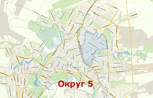 Вибори-2020: всі кандидати по округах до Луцької міської ради