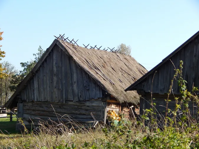 Мандрівники з Англії блукали автентичним волинським селом (фото)
