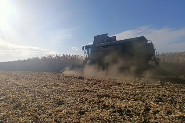 На Волині зібрали рекордну кількість кукурудзи