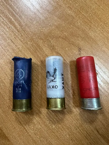 Молода волинянка хотіла вивезти до Польщі набої 12-го калібру (фото, відео)