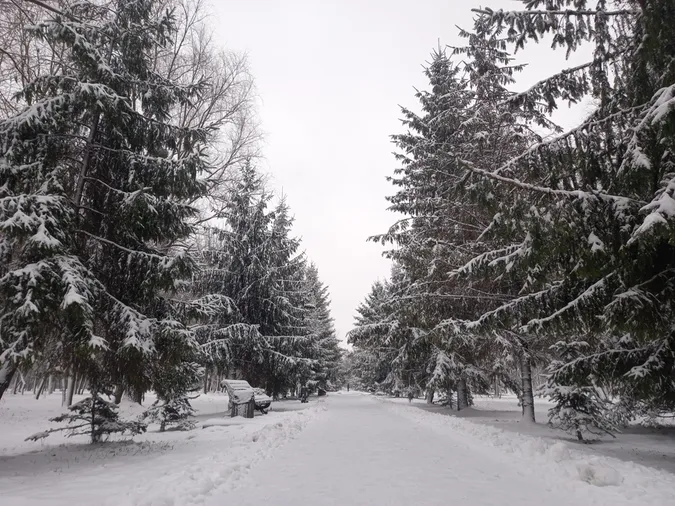 Сніжно і безлюдно: зима у Центральному парку Луцька (фото)