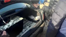 Затримали волинянина, який допомагав ухилянтам «відкосити» від армії (фото)