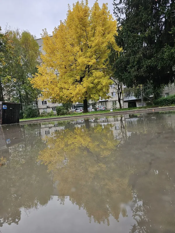 Осінній Луцьк: волинянин опублікував заворожуючі світлини міста (фото)