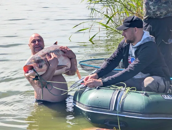 Справжній гігант: ветерани війни витягли з води 34-кілограмового товстолоба (фото)