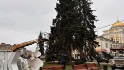 🎄У центрі Луцька вже почали прикрашати ялинки (фото)