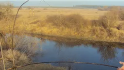 Ловили «павуком» та «екраном»: на Волині викрили рибалок-порушників (фото)