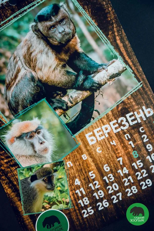 «Луцький зоопарк» видав «мімішний» календар на 2019 рік (фото)