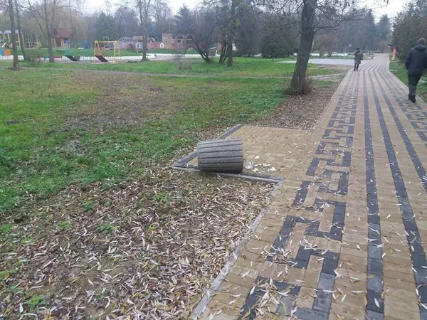 У луцькому парку вандали потопили смітники (фото)