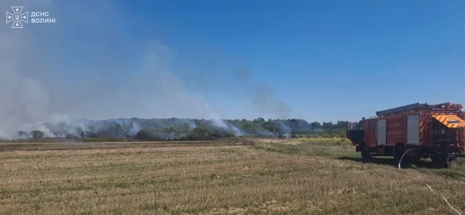 Вогонь охопив понад 4 гектари: на Ковельщині після пожежі знайшли винуватця (фото)
