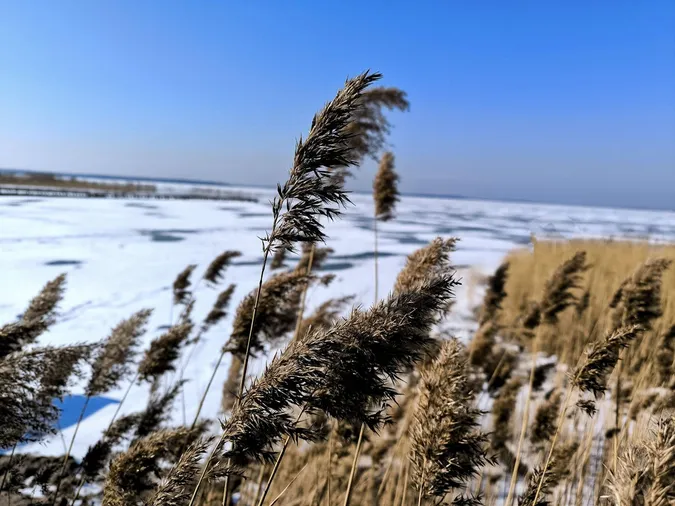 Трава на берегах і крига на воді: на Світязі зима зустрічає весну (фото)