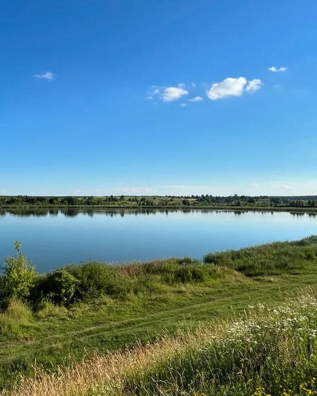 За 30 кілометрів від Луцька розкинулось мальовниче озеро з червонокнижними рослинами та птахами (фото)