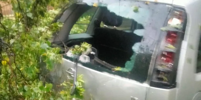 У Луцьку в Старому місті дерево впало на припарковане авто (фото)