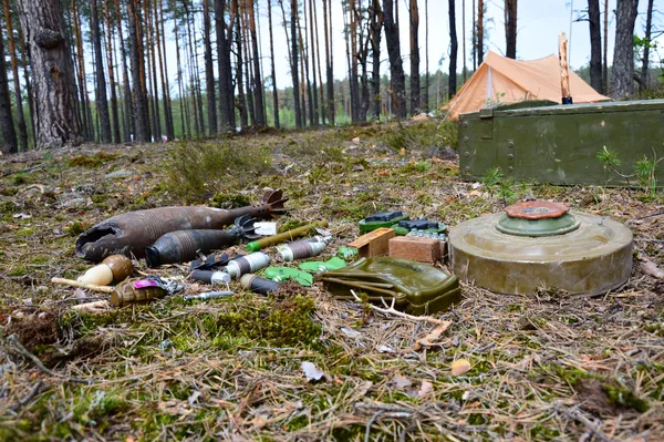 Постріли та вибухи у волинському лісі (фото, відео)