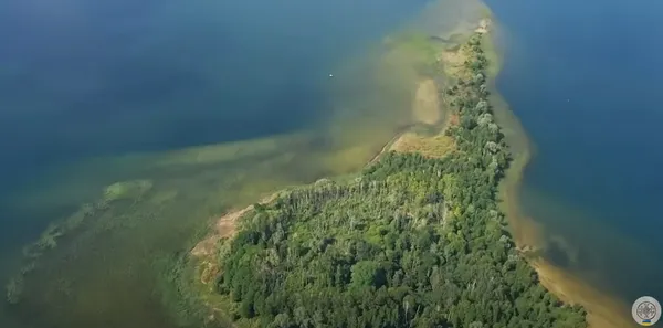 На Волині є магічне дерево, яке допомагає вийти заміж: локація (фото, відео)