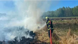 На Волині пожежа із сухостою перекинулася на торфовище (фото)