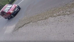 У Луцьку поліцейські ловили водія-нечупару (відео)