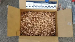 Ховав тисячі патронів: на Волині зловили боєприпасного «баригу» (фото)