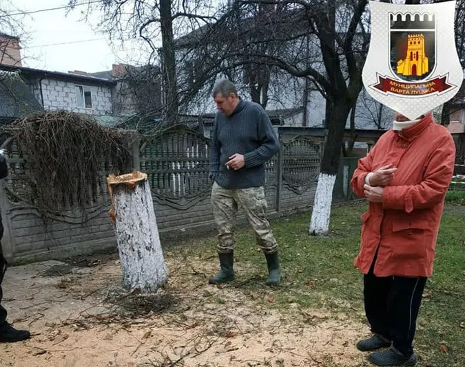 За спиляне дерево лучанин заплатить штраф (фото)
