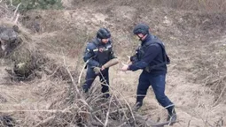У Любомлі під час розширення дороги знайшли боєприпаси Другої світової (фото)