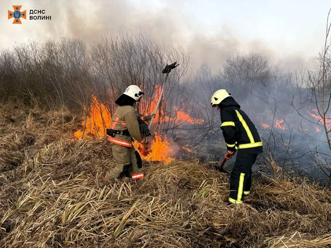 Вогонь нищив усе живе: на Волині вигоріли 26 гектарів землі (фото)