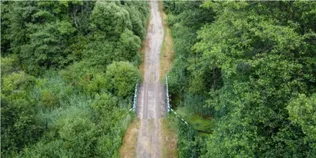На Волині заховався унікальний куточок дикої природи, де мешкають бобри та видри (фото)