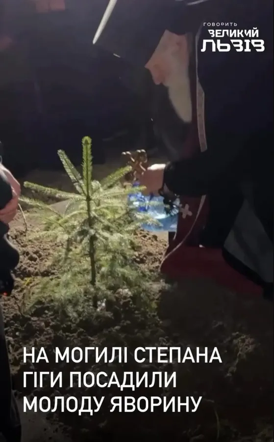 Не яворина: яке насправді дерево посадили на могилі Степана Гіги