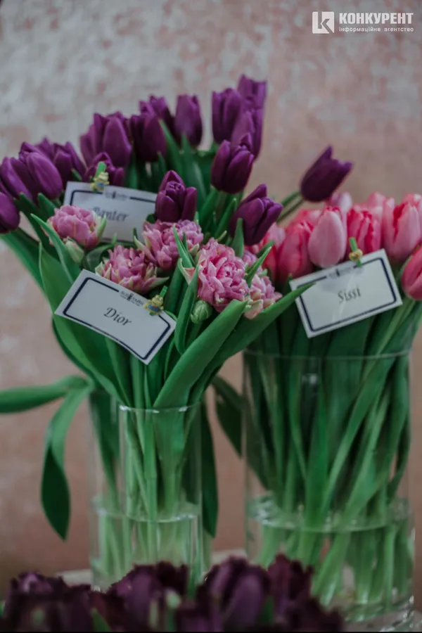 Armani, Dior та ванна у квітах: біля Луцька – pre-party «Волинської Голландії» (фото)