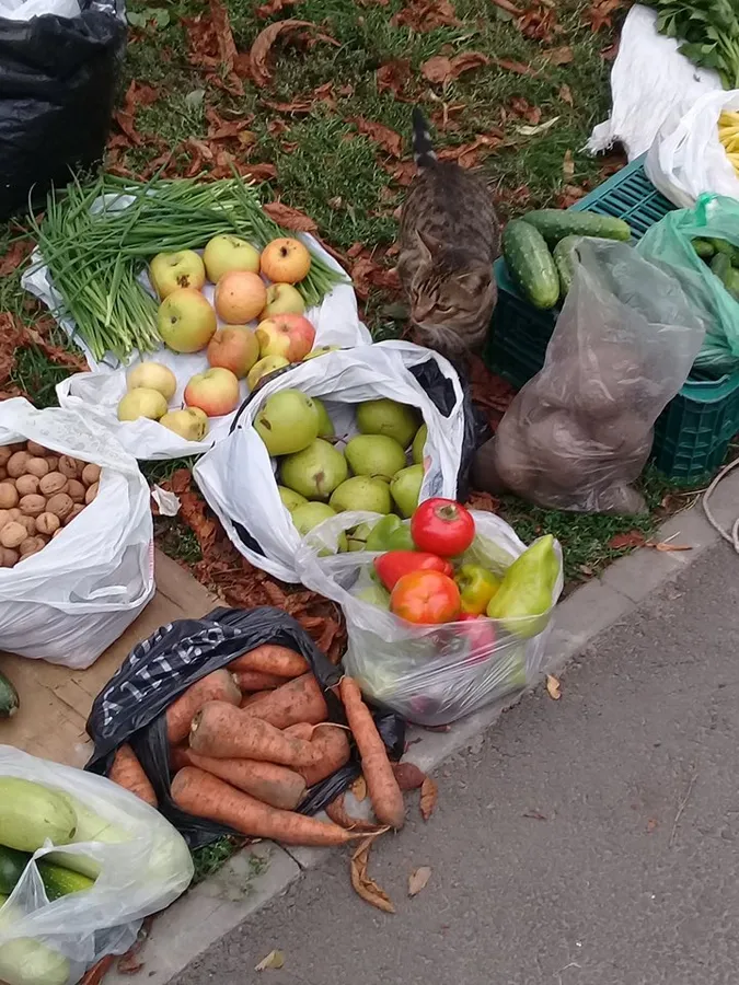 Про «домашні» яблука і овочі без хімікатів (фото)