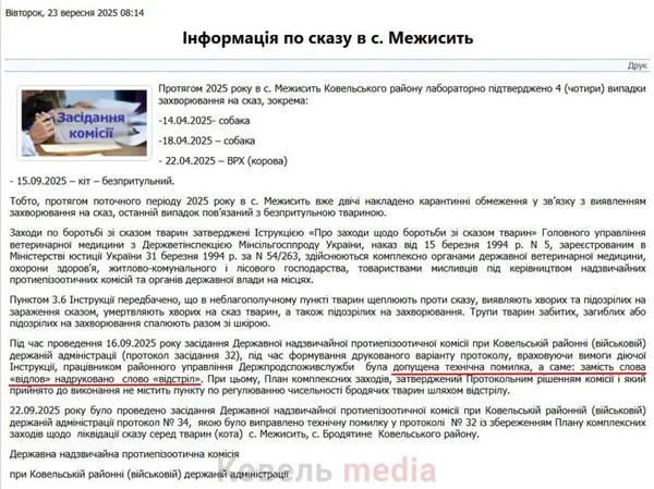 Трішки «помилилися»: РДА на Волині пояснила скандальне рішення про відстріл бродячих тварин