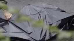 На Волині виявили тіло 79-річної жінки з ознаками насильницької смерті (відео)