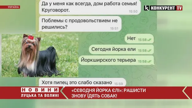 На окупованих землях загарбники знов їдять собак, – СБУ (відео)